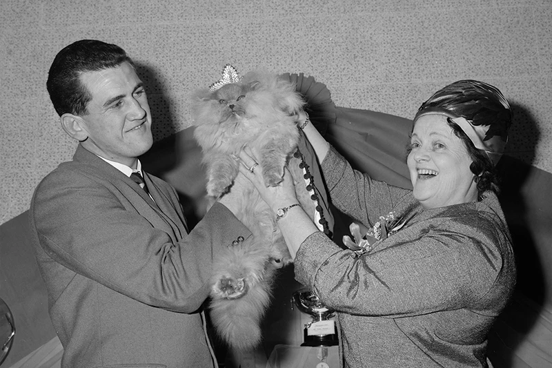 Black and white photo of a man and a woman holding a cat up in the air.
