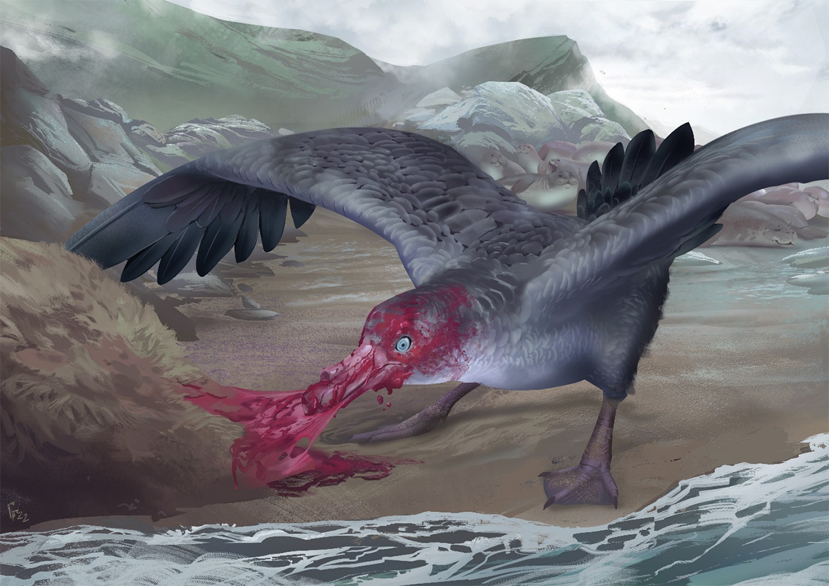 macronectes-tinae.-in-its-palaeoenvironment.-illustration-by-simone-giovanardi.jpg