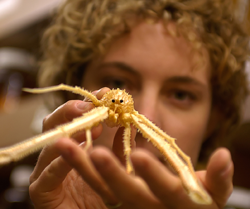 A woman's head and hand holding a small lobster up to the camera. The lobster is in focus and she is blurry.