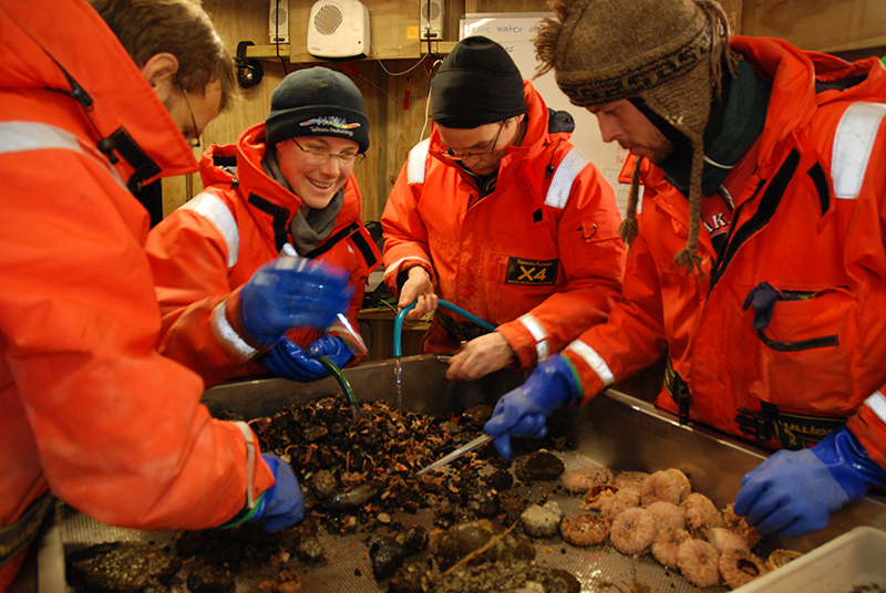 Several people standing around a plastic tub of sea creatures. The people are all wearing wet weather gear.