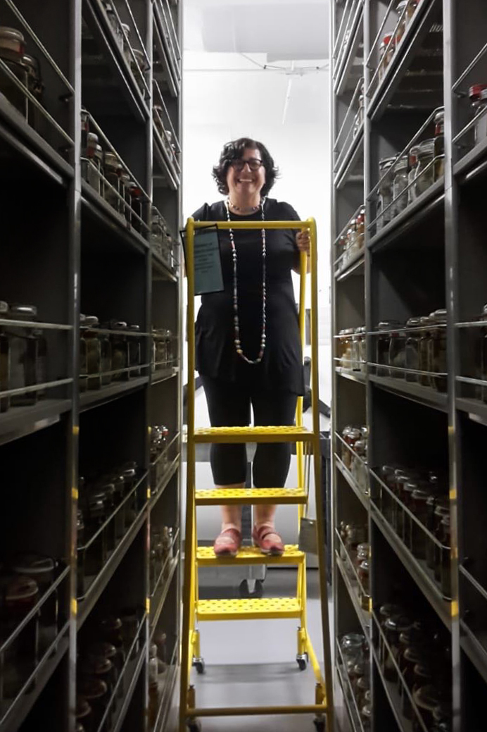 A woman is standing on a ladder at the end of a set of shelves full of fish specimens in jars.