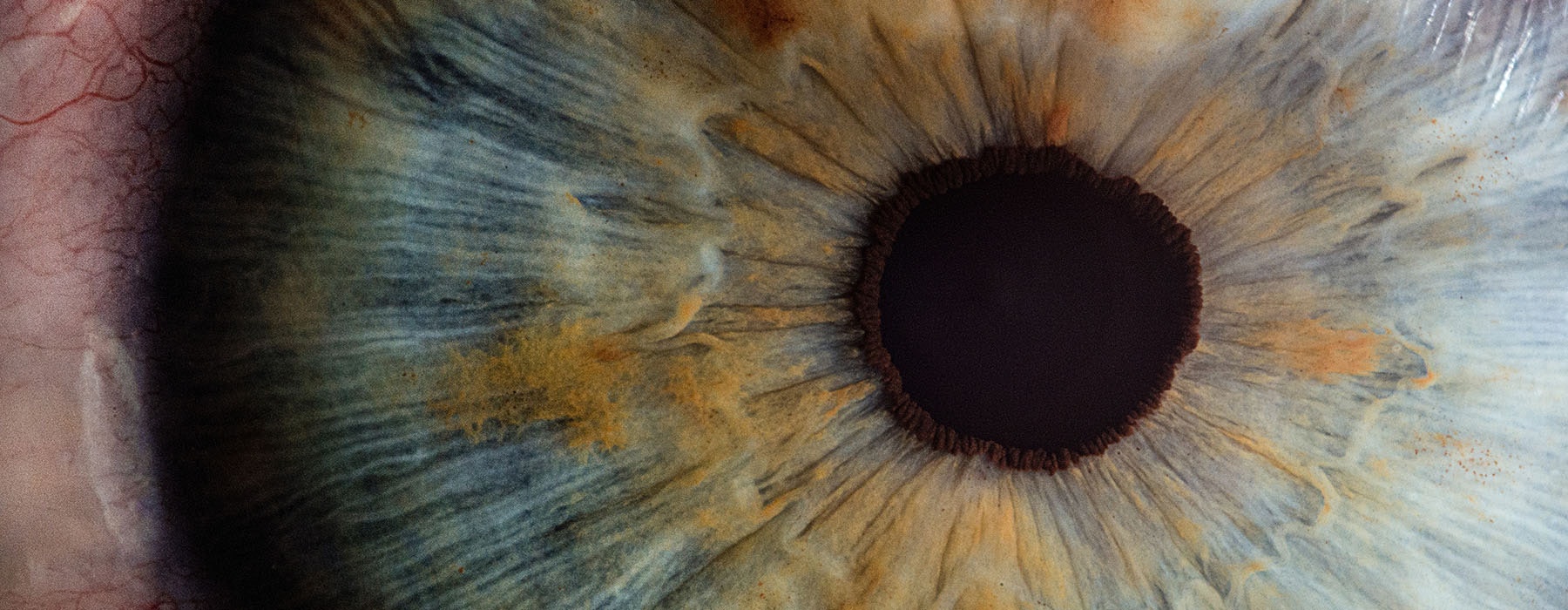 An extreme close-up of someone’s eyeball