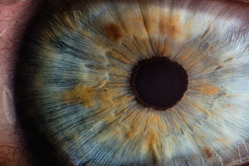 An extreme close-up of someone’s eyeball