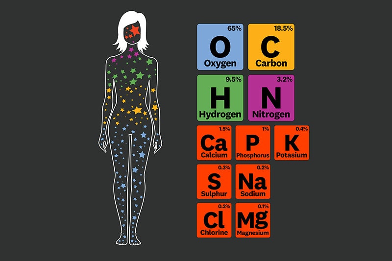 An infographic showing the elements that humans are made of