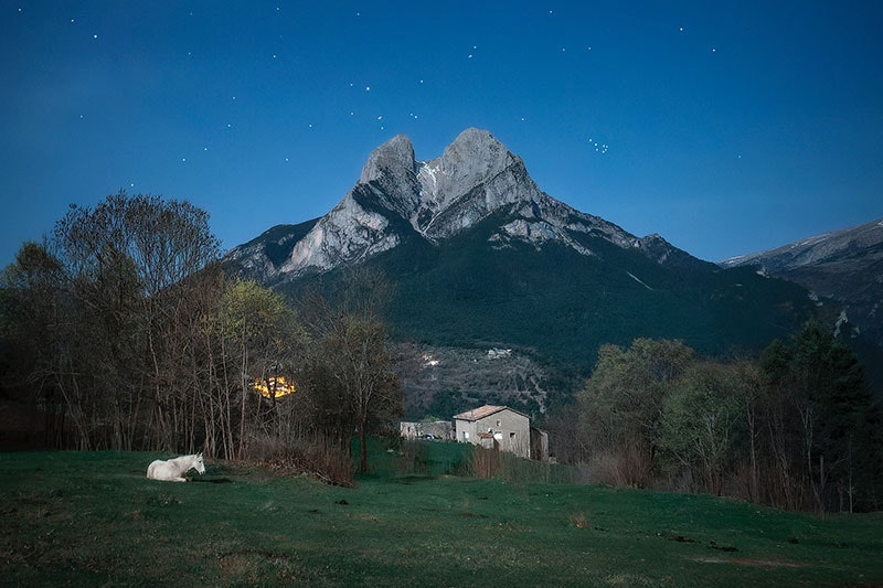 View of the Matariki cluster in the northern hemisphere above a mountain. In the foreground is a horse resting and a rural house