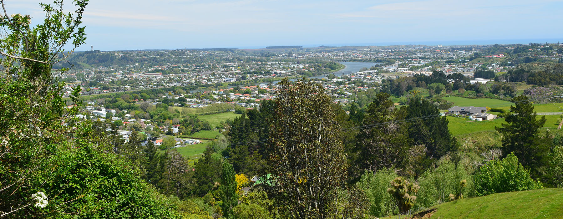 View from up high looking down over the town of Whanganui, showing the river, lots of green fields, and houses