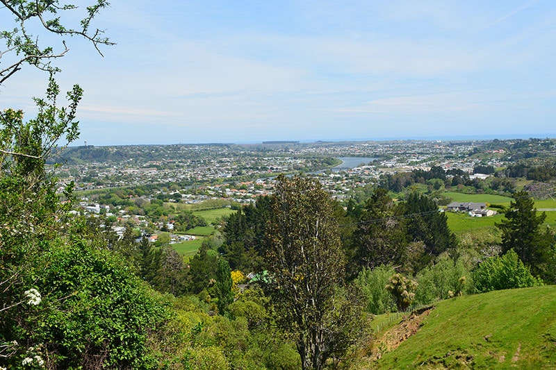 View from up high looking down over the town of Whanganui, showing the river, lots of green fields, and houses