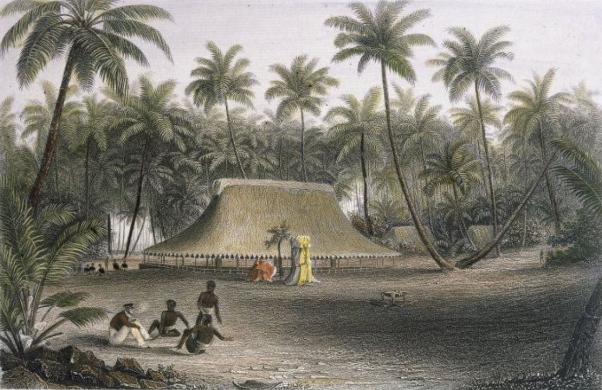 An illustration of men sat on the, palms and a hut in the background
