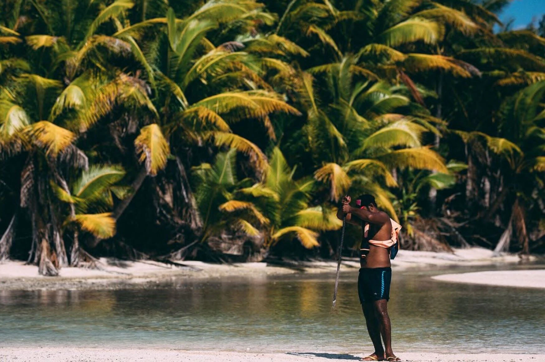 A man on a tropical island holds a rod