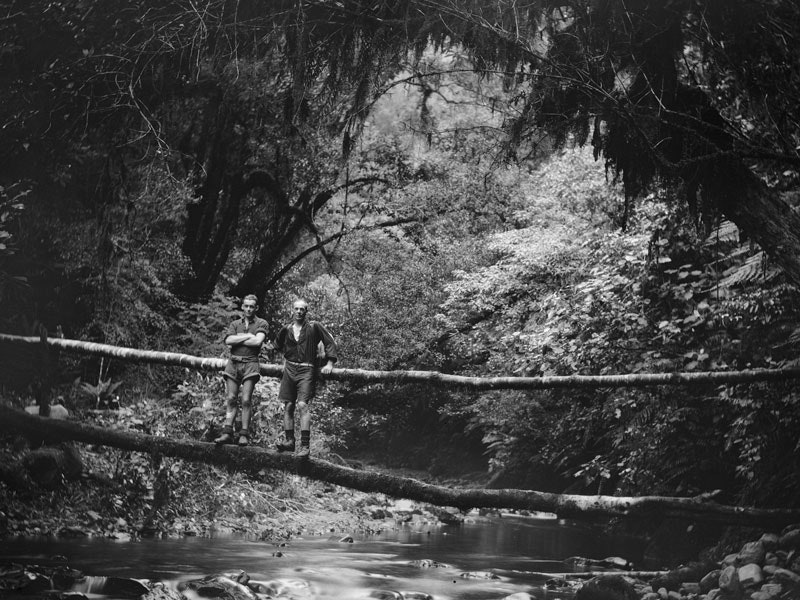 Black and white photo of two man balances on a tree which has fallen across a river