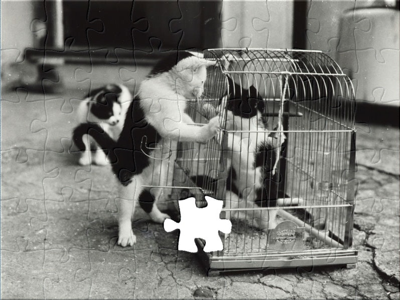 Cat in a cage, Waimamaku, 1957, Waimamaku, by Eric Lee-Johnson. Te Papa (O.006827) Jigsaw puzzle of kittens playing in a cage