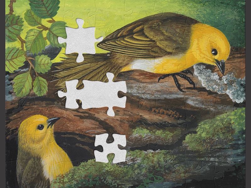 Painting depicting two yellowhead birds, with vibrant yellow heads and underside plumage and green back and wing plumage, sitting on a mossy log