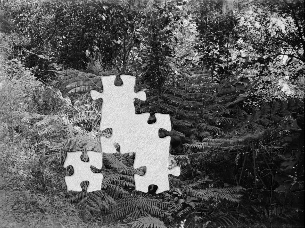 A black and white photo of a woman holding a white cat sitting in a tree fern with jigsaw pieces missing