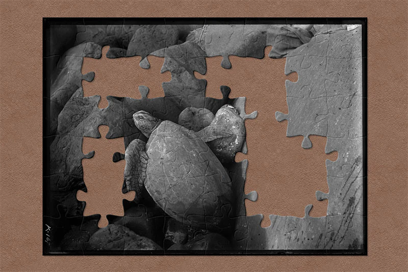 Online jigsaw puzzles using our collections Te Papa