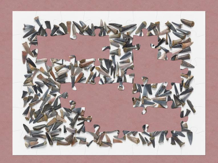 Online jigsaw puzzles using our collections Te Papa