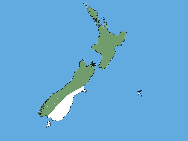 A map of Aotearoa New Zealand with a blue background. Most of the country is coloured green apart from a white patch on the lower right of the South Island and Stewart Island.