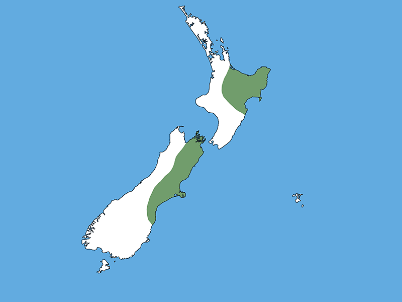 A map of Aotearoa New Zealand with a blue background. Part of the top-right of the North Island and top right of the South Island is coloured green and the rest of the country is white.
