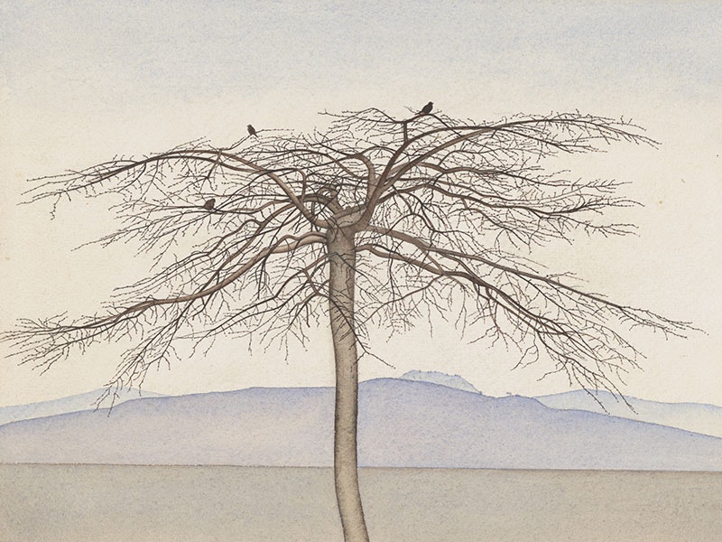 Rita Angus, Tree, 1943, watercolour. Purchased 1998 with New Zealand Lottery Grants Board funds. Te Papa (1998-0028-5) Watercolour painting of an autumnal tree without its leaves. Three birds – perhaps sparrows – sit among the leaves. The tree is isolated in the landscape; hills can be seen in the distance