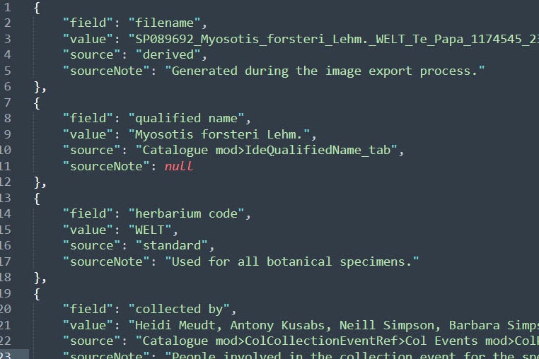 A screenshot of green code text on a dark screen