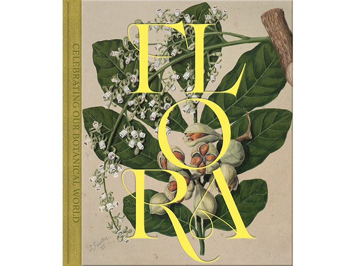 Flora cover image A book cover on a white background