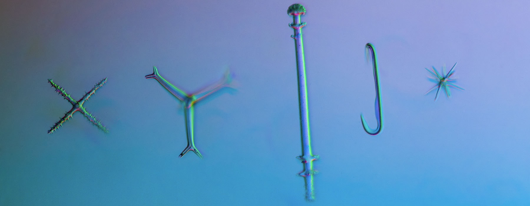 Microscopic photo of five sponges: one is shaped like an X; a three-bladed windmill; an enoki mushroom; a fish hook; and a little explosion