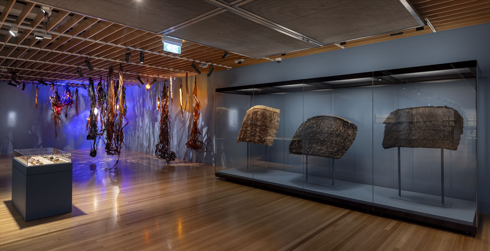 General view of the This Natural World exhibition, with a small display case at the front, a large one at the back displaying three large Māori cloaks, and to the left of that an artwork consisting of hanging pieces of kelp and neon lights