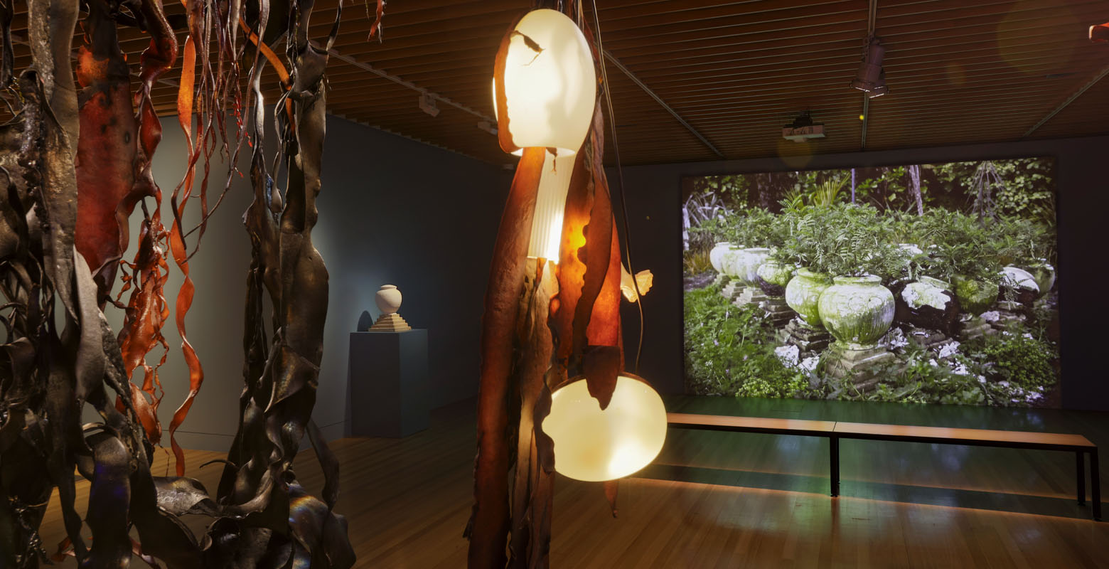 View of a gallery space. It is dimly lit. In the foreground hangs large pieces of kelp lit by a rainbow of neon lighting. In the background, projected onto the wall, is a video work comprising of many ceramic pots housing plants the are outgrowing them