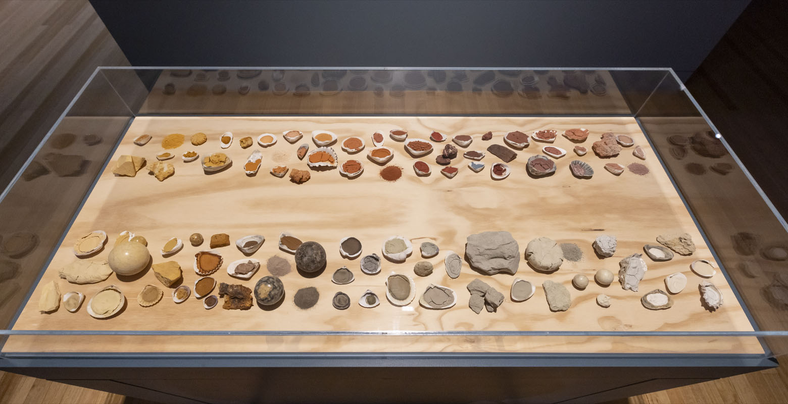 A display case full of brightly coloured pigments of earth from deep red through to blue, housed in shells, or in little mounds