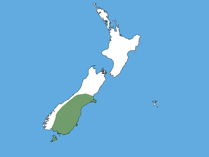 A map of Aotearoa New Zealand with a blue background. Most of the country is coloured white apart from the lower right part of the South Island which is green.