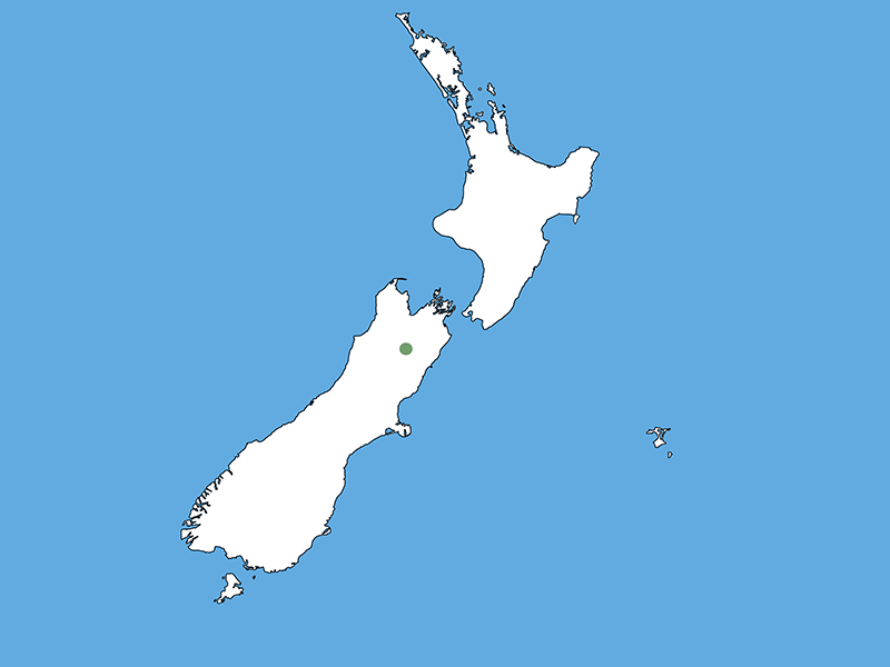 A map of Aotearoa New Zealand with a blue background. Most of the country is coloured white apart from small dot of green in the upper South Island.