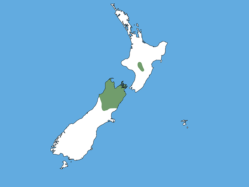 A map of Aotearoa New Zealand with a blue background. Most of the country is coloured white apart from a small part in the middle of the North Island and the top of the South Island.