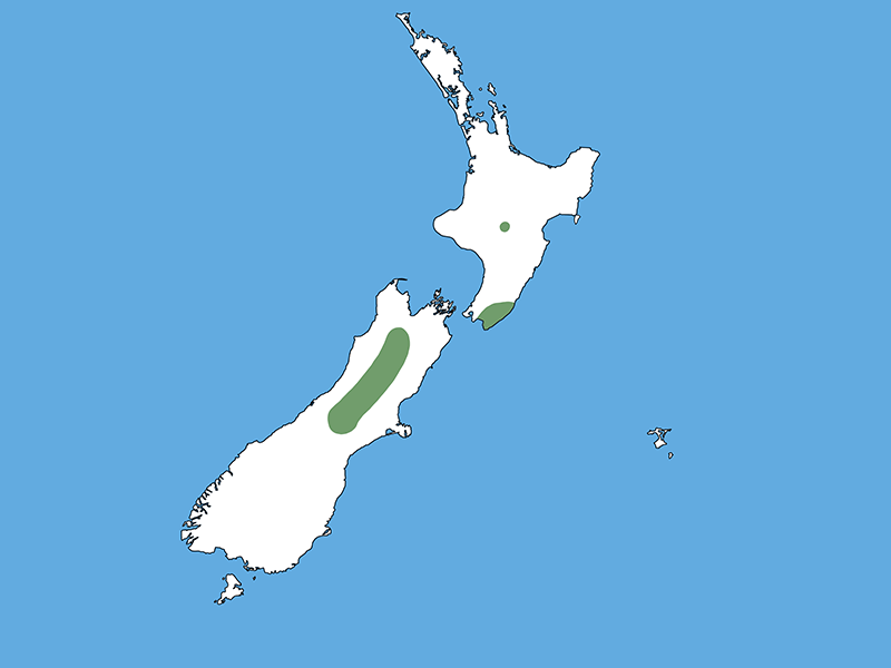 A map of Aotearoa New Zealand with a blue background. Most of the country is white except for a green dot in the middle of the North Island, a green section on the bottom right of the North Island, and a strip of green in the middle-top of the South Is.