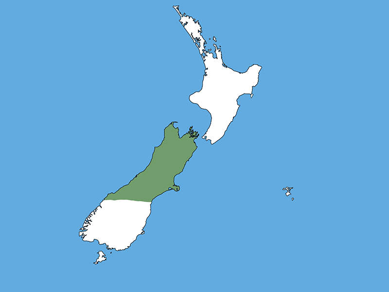 A map of Aotearoa New Zealand with a blue background. The top two thirds of the South Islands is green, and the rest of the country is white.