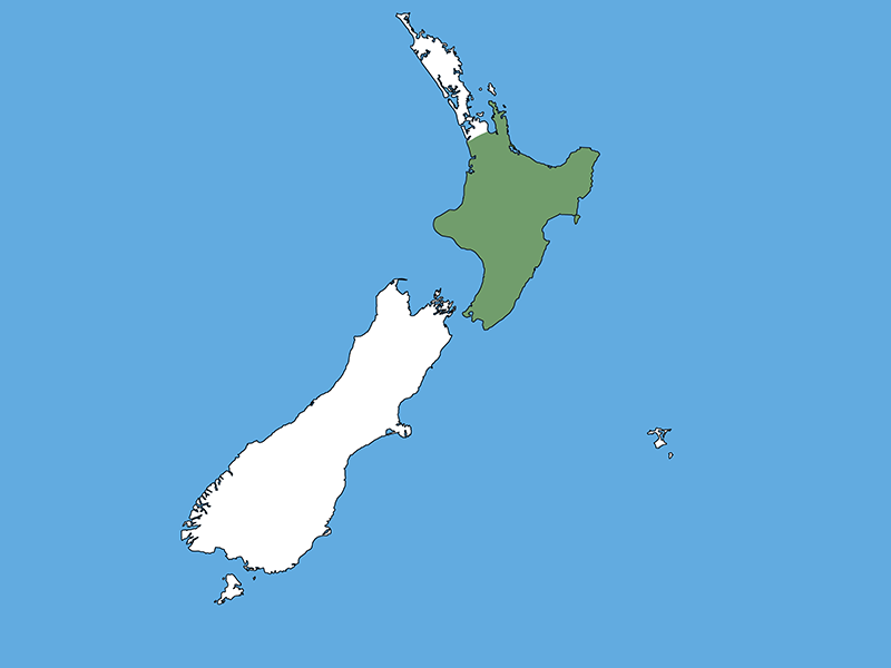 A map of Aotearoa New Zealand with a blue background. The top of the North Island and the other islands are white, and the rest of the North Island is green.