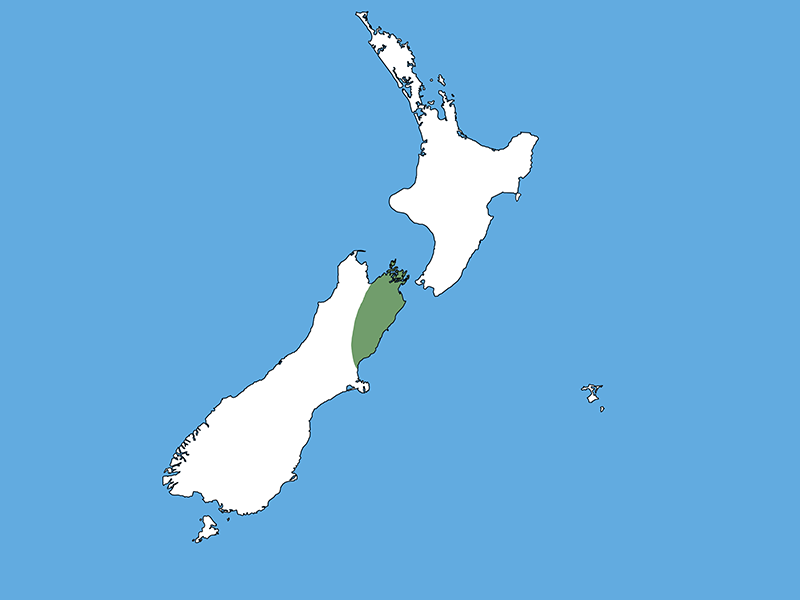 A map of Aotearoa New Zealand with a blue background. All of the country is white except for the top-right part of the South Island.