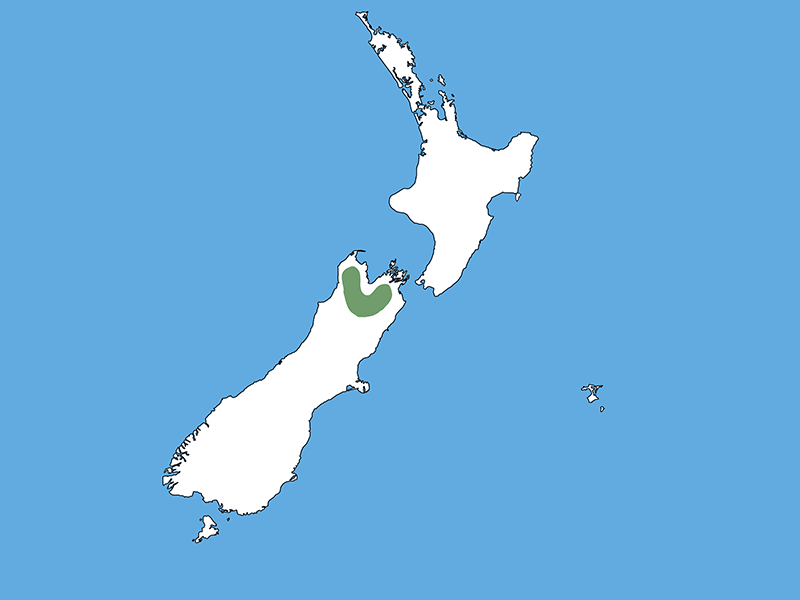 A map of Aotearoa New Zealand with a blue background. The entire country is white apart from a small curved green part of the north of the South Island.