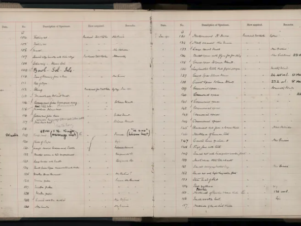 Ethnology_Sep-1908_Dec-1961-005 An open log bood with writing in columns on facing pages