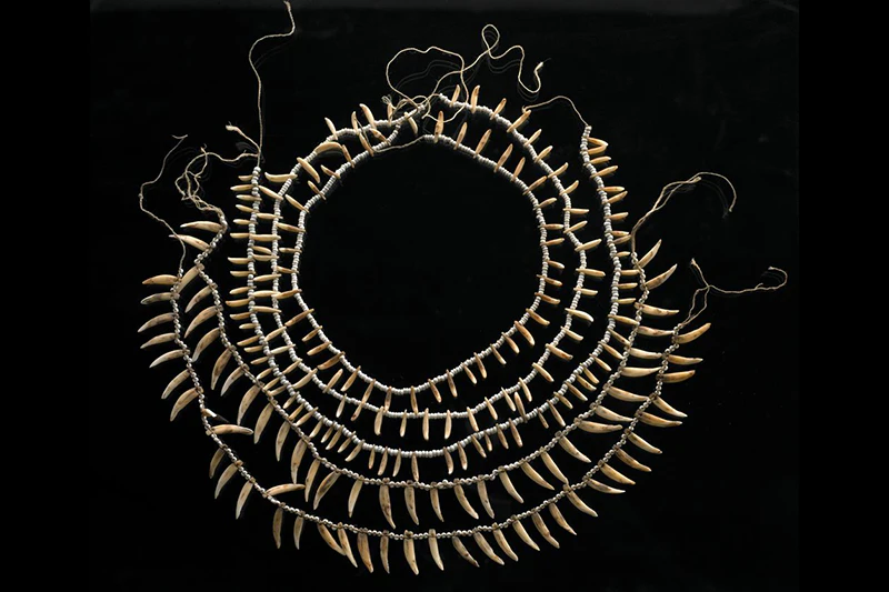 Necklaces made from rodent, canine and dolphin teeth in circles inside each other on a black background.