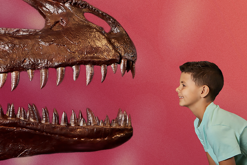 A promotional photo of a small boy looking into the mouth of a giant dinosaur fossil. The background is red.