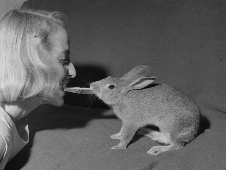 A woman with a rabbit, they are playing tug-of-war with a piece of toast