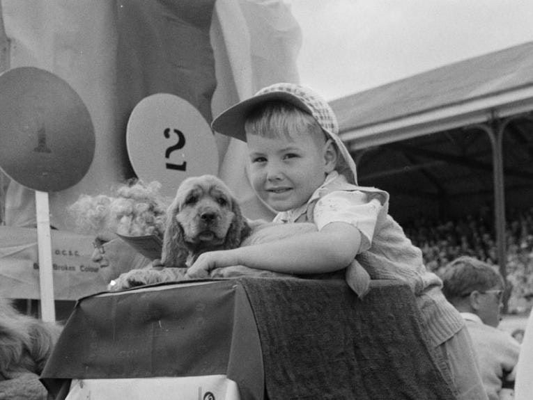 A young boy hugs a puppy at a fair