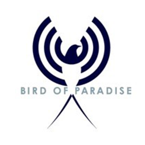 Bird of Paradise