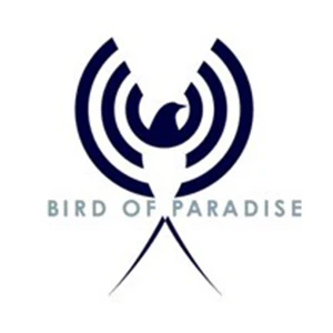 Bird of Paradise