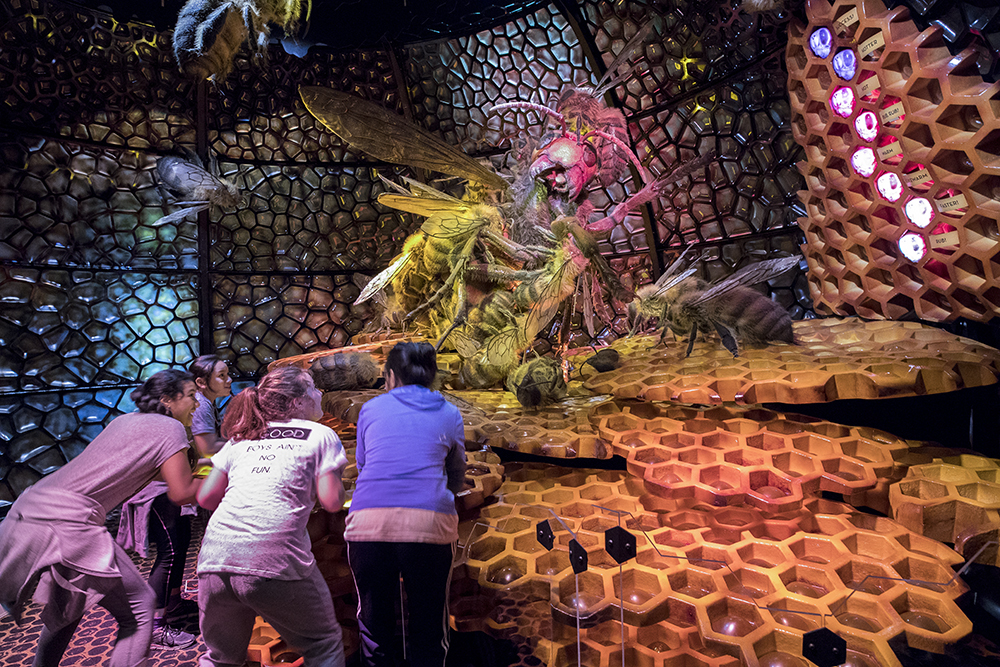 Some children are crowded together working on a giant bee interactive in an exhibition.