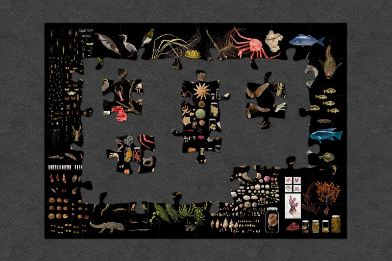 Online jigsaw puzzles using our collections Te Papa