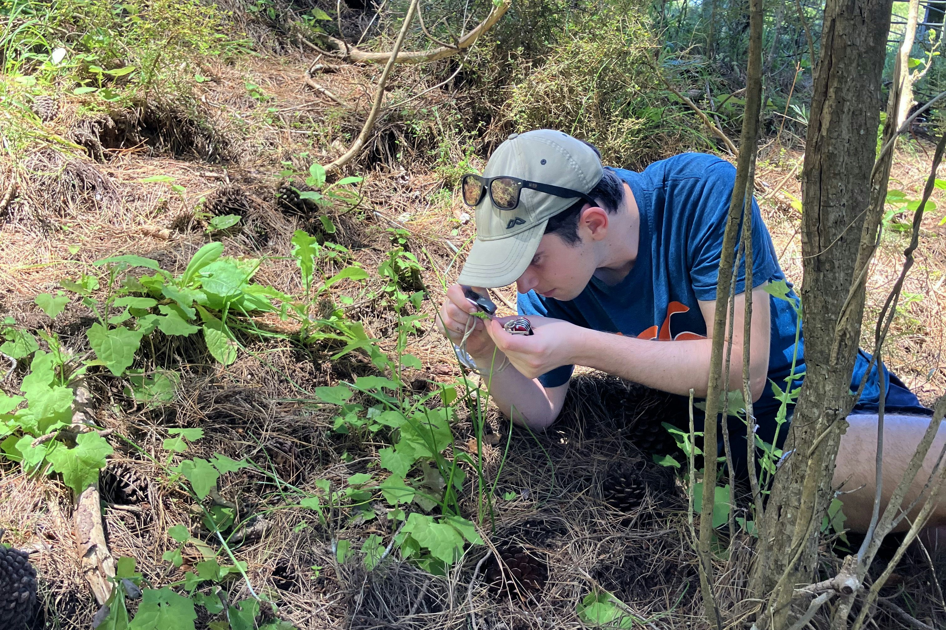 A man in a blue tshirt and a cap is crouched down on the ground and inspecting a small plant.