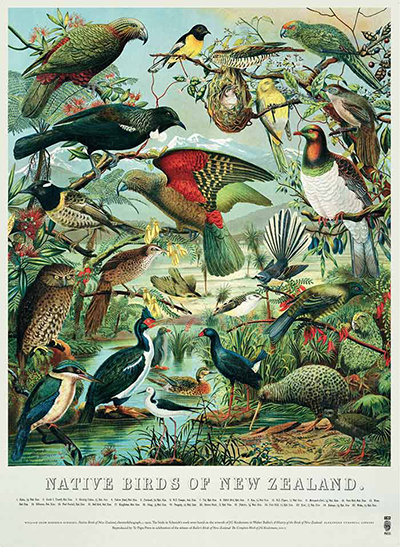 1710552639-native-birds-