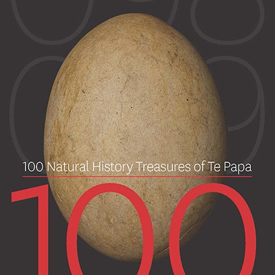 100 Natural History Treasures of Te Papa_Susan Waugh