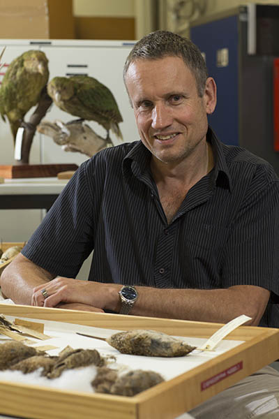 A man sitting at a table with a tray of taxidermied birds in front of him.