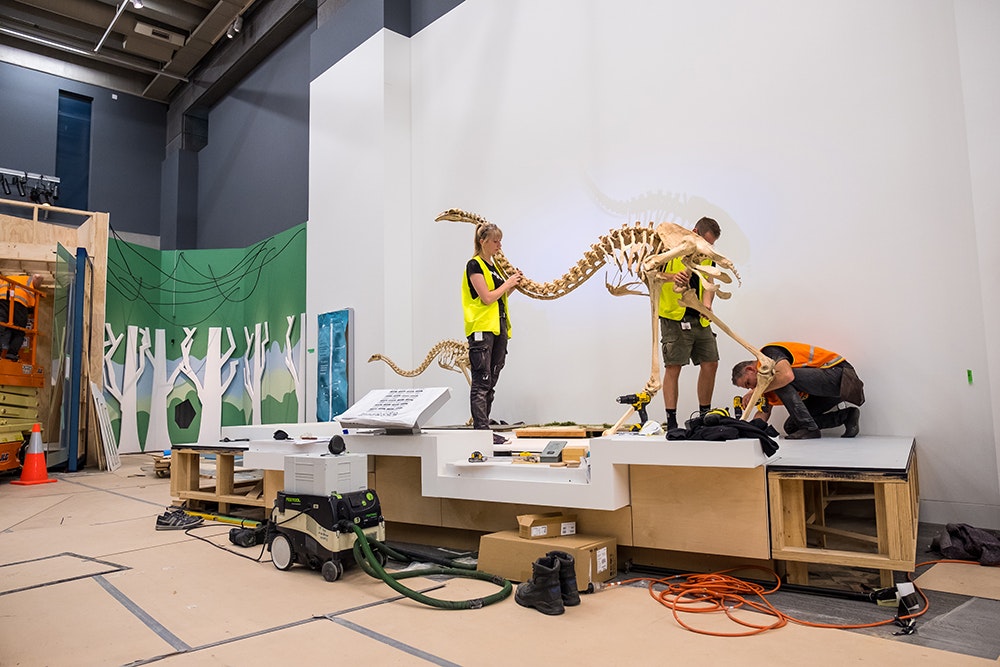 Three people are working on installing a moa skeleton on a plinth inside a building.